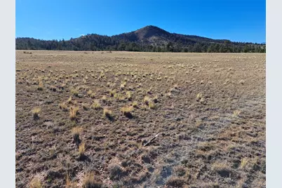 475 Summit Road, Hartsel, CO 80449 - Photo 10