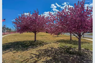4043 Emerald Shore Drive, Loveland, CO 80538 - Photo 34