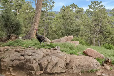 13954 Pine Country Lane, Conifer, CO 80433 - Photo 32