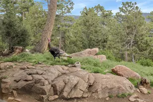 13954 Pine Country Ln, Conifer, CO 80433 - Photo 32