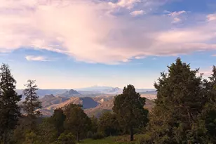 13954 Pine Country Ln, Conifer, CO 80433 - Photo 16