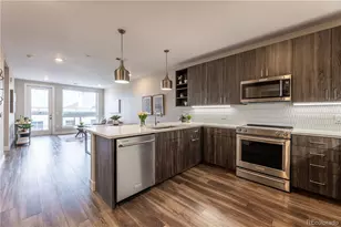 20 Wilcox Street, Castle Rock, CO 80104 - Photo 4