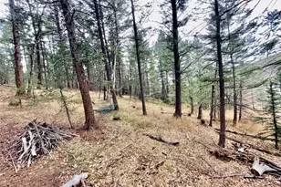 5475 S Twin Spruce Dr, Evergreen, CO 80439 - Photo 14