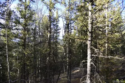 00 Heckman Road, Fort Garland, CO 81133 - Photo 4