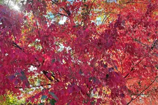 1143 S Corona St, Denver, CO 80210 - Photo 32