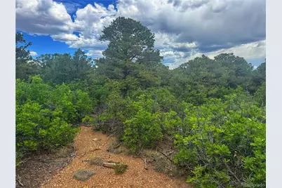106 Colorado Land & Grazing, Walsenburg, CO 81089 - Photo 1