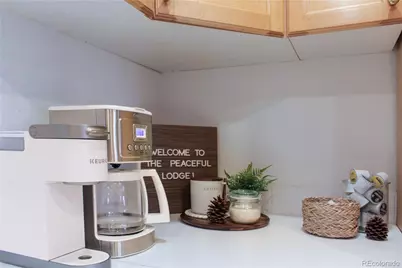 133 Linn Lane, Golden, CO 80403 - Photo 28