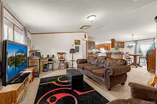 213 S 1st St, Victor, CO 80860 - Photo 8