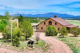 1328 Round Up Rd, Westcliffe, CO 81252 - Photo 34