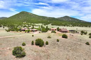 1328 Round Up Rd, Westcliffe, CO 81252 - Photo 2