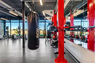 4297 Ridgewalk Pt, Castle Rock, CO 80108 - Photo 40