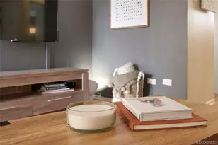 250 N Pearl, Denver, CO 80203 - Photo 4