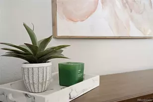 250 N Pearl, Denver, CO 80203 - Photo 14