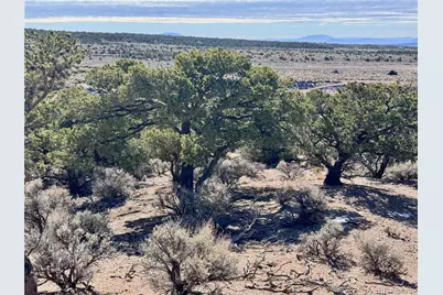 Lot 1762 Slegers Road, Fort Garland, CO 81133 - Photo 2