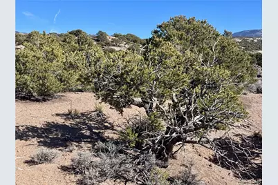 Lot 1762 Slegers Road, Fort Garland, CO 81133 - Photo 4