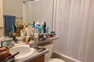 4315 Orleans St, Denver, CO 80249 - Photo 10