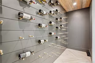 37 Flowerburst Way, Highlands Ranch, CO 80126 - Photo 34