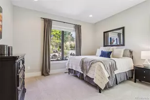 37 Flowerburst Way, Highlands Ranch, CO 80126 - Photo 28