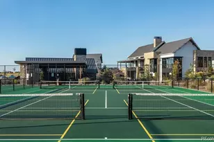 497 Leafy Aster Ln, Castle Rock, CO 80104 - Photo 48