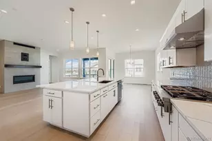 497 Leafy Aster Ln, Castle Rock, CO 80104 - Photo 10