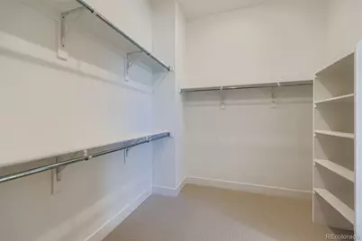 497 Leafy Aster Lane, Castle Rock, CO 80104 - Photo 18