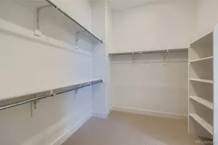 497 Leafy Aster Ln, Castle Rock, CO 80104 - Photo 18