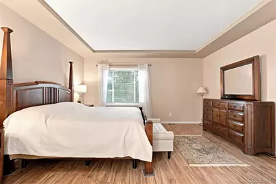 10574 Jaguar Point, Lone Tree, CO 80124 - Photo 24