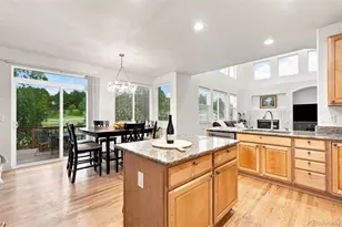 10574 Jaguar Point, Lone Tree, CO 80124 - Photo 10