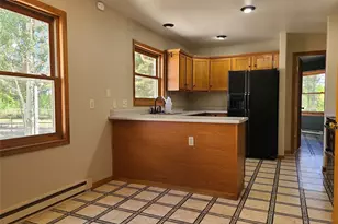 757 Thompson Park Rd, Fairplay, CO 80440 - Photo 12