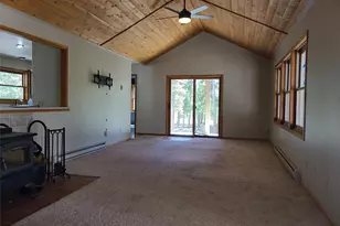 757 Thompson Park Rd, Fairplay, CO 80440 - Photo 2