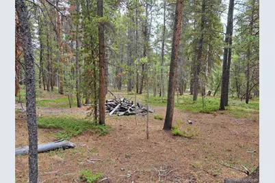 1201 Beaver Creek Road, Fairplay, CO 80440 - Photo 12