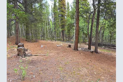1201 Beaver Creek Road, Fairplay, CO 80440 - Photo 2