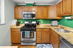 1330 Race St, Denver, CO 80206 - Photo 10