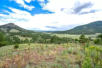 349 Post Road, Guffey, CO 80820 - Photo 40