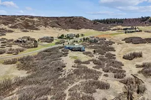 3959 Serenade Rd, Castle Rock, CO 80104 - Photo 48