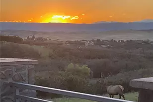 3959 Serenade Rd, Castle Rock, CO 80104 - Photo 6