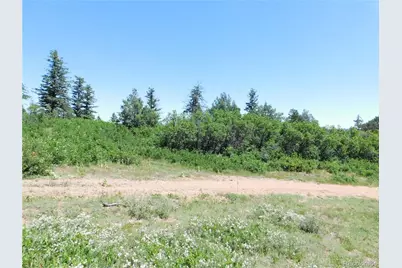 5900 Pawnee Road, Larkspur, CO 80118 - Photo 24