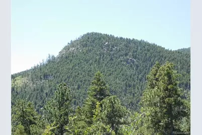 5900 Pawnee Road, Larkspur, CO 80118 - Photo 10