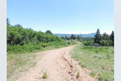5900 Pawnee Road, Larkspur, CO 80118 - Photo 26
