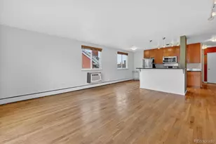 1336 N Logan Street, Denver, CO 80203 - Photo 22