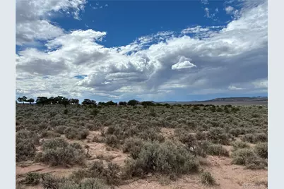 Lot 7291 Luvie Road, Fort Garland, CO 81133 - Photo 12