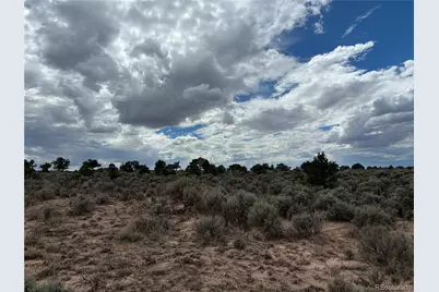 Lot 7291 Luvie Road, Fort Garland, CO 81133 - Photo 6