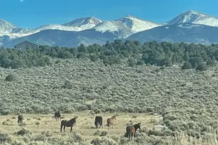 2032 White Tail Rd, San Luis, CO 81152 - Photo 4