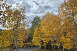 499 Clark Rd, Bailey, CO 80421 - Photo 24