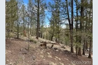 258 Old Squaw Road, Como, CO 80432 - Photo 22