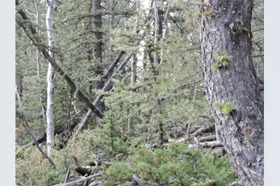 258 Old Squaw Road, Como, CO 80432 - Photo 30