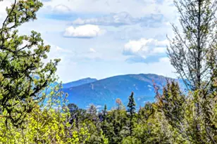 258 Old Squaw Rd, Como, CO 80432 - Photo 1