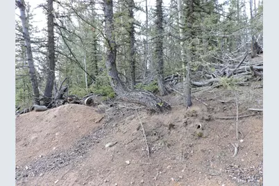 258 Old Squaw Road, Como, CO 80432 - Photo 14