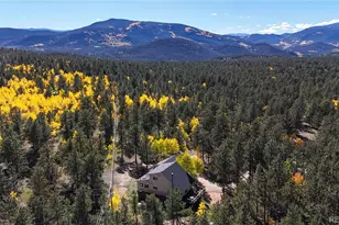 92 Four Bits St, Bailey, CO 80421 - Photo 46