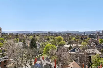 1433 N Williams Street #1007, Denver, CO 80218 - Photo 2